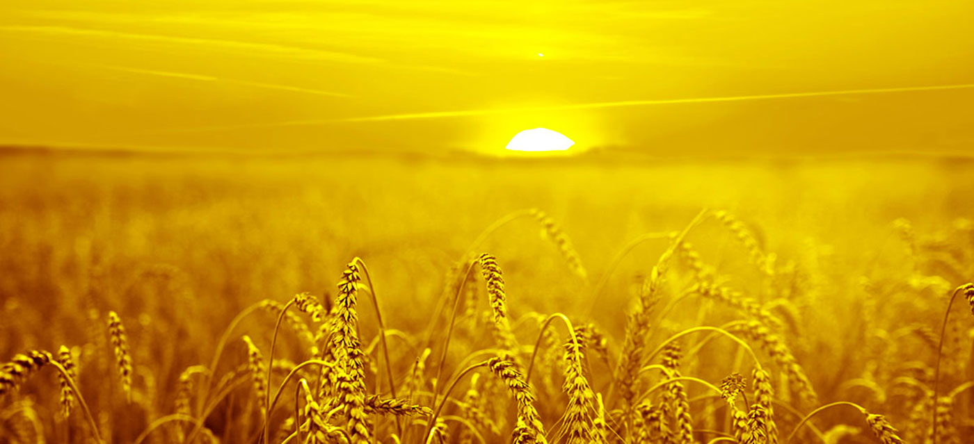 Wij bieden graag kleuroplossingen